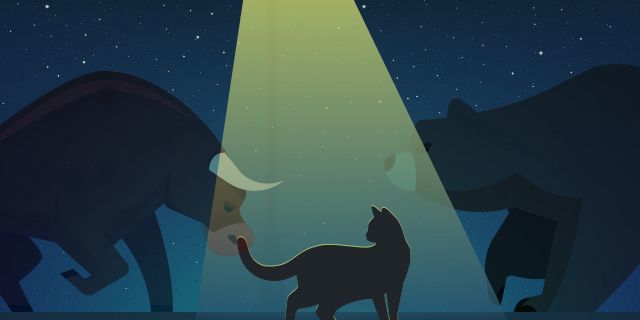 Beware of a black cat! 5 traders' superstitions